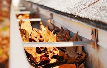 Ringsfield Corner gutter cleaning companies