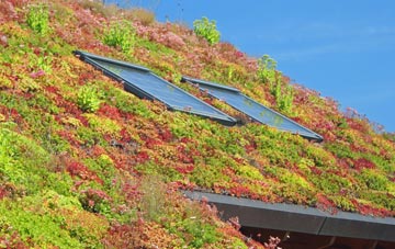 Ringsfield Corner living roof systems